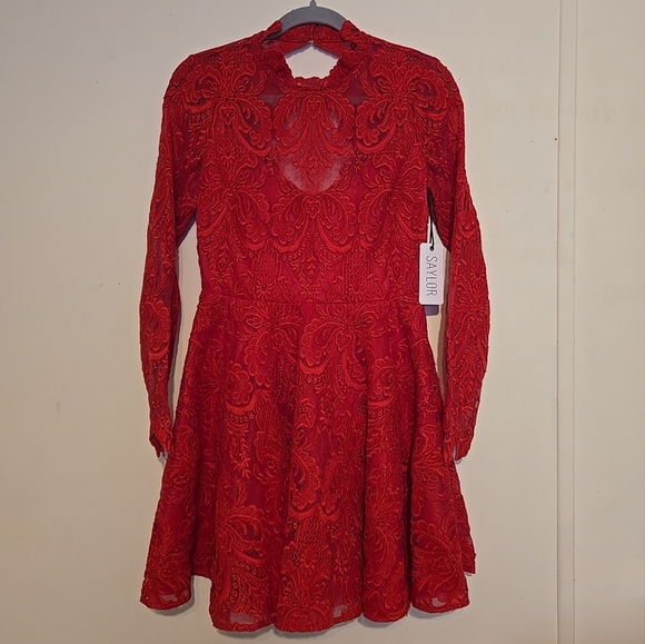 Saylor Rita raspberry laced mini dress - Picture 1 of 4